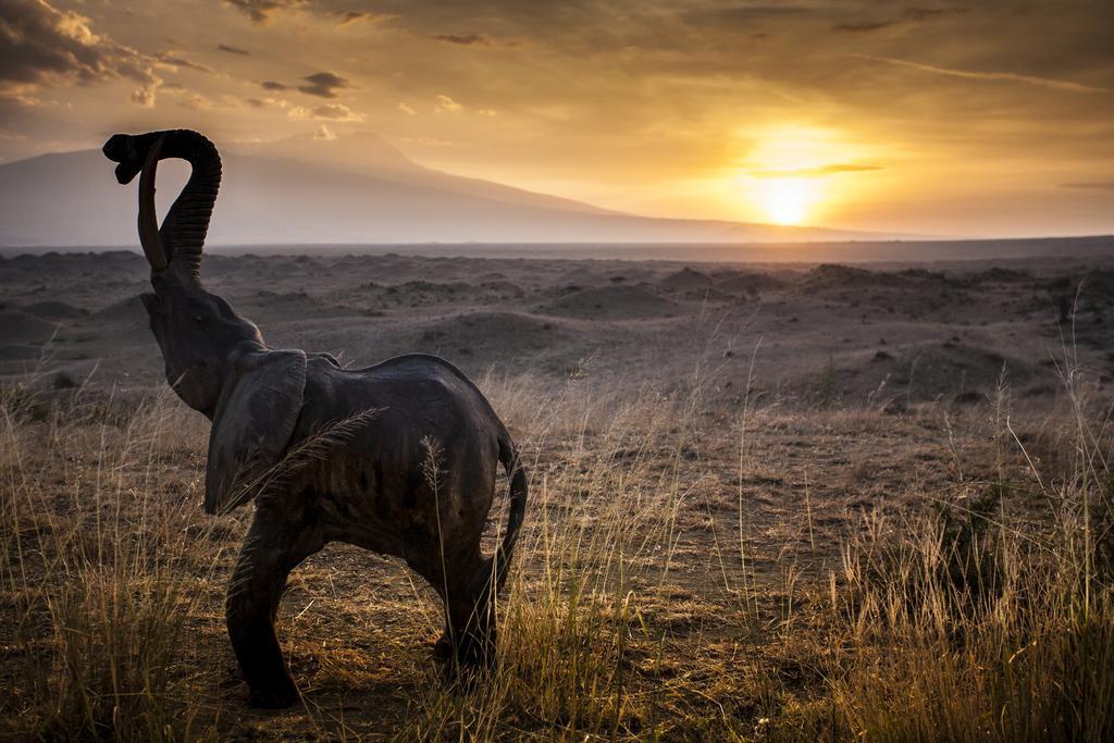 Original Maasai Lodge - Africa Amini Life Engare Nanyuki 외부 사진